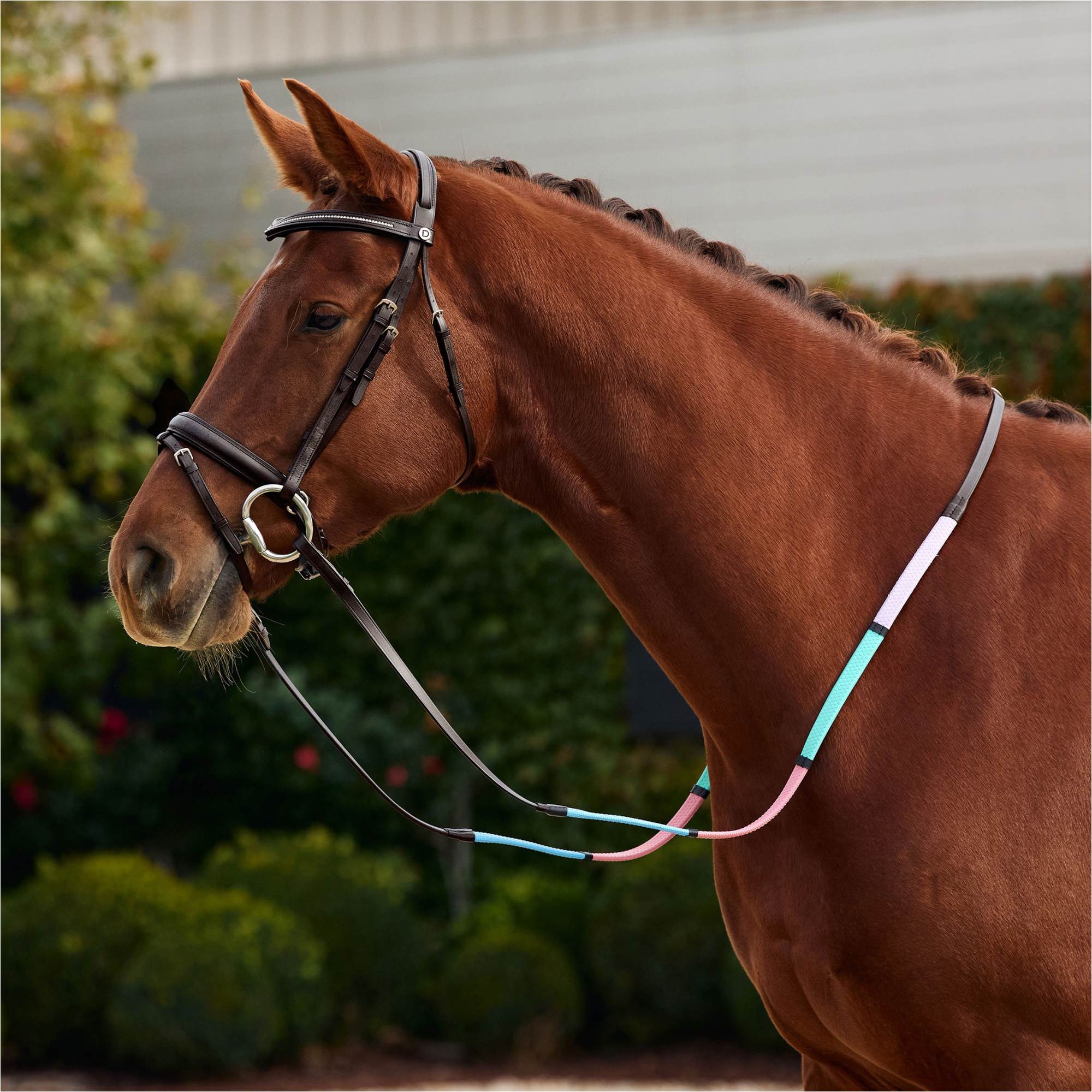 2026 Dublin Pastel Rainbow Reins 1031511 - Brown / Multi